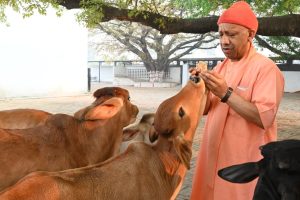 होली के पावन पर्व पर सीएम योगी ने दी प्रदेशवासियों को बधाई व शुभकामनाएं